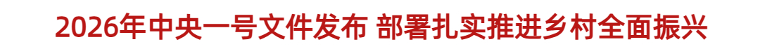 2026年中央一号文件发布 部署扎实推进乡村全面振兴